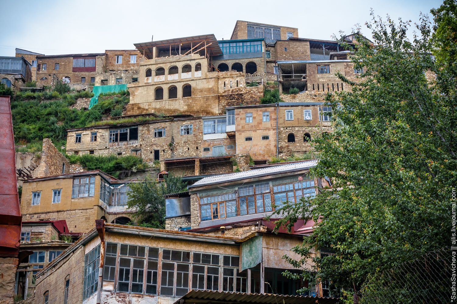 Аул чох в дагестане фото